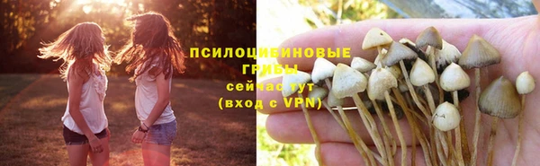 крисы Приозерск