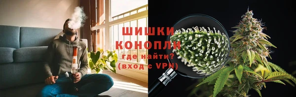 соль ск Алзамай