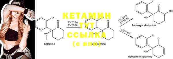 соль ск Алзамай