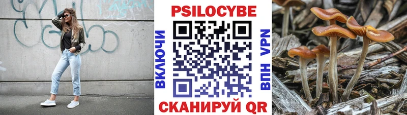 Псилоцибиновые грибы Magic Shrooms  MEGA ТОР  Краснознаменск 